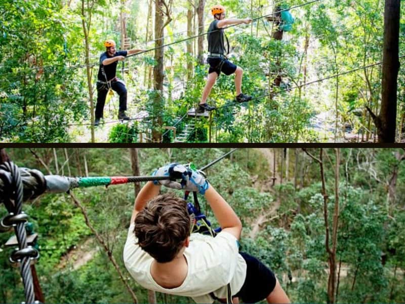 Conquering Fear with a Treetop Challenge